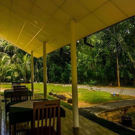 Little Ele Safari Lodge Удавалаве Экстерьер фото