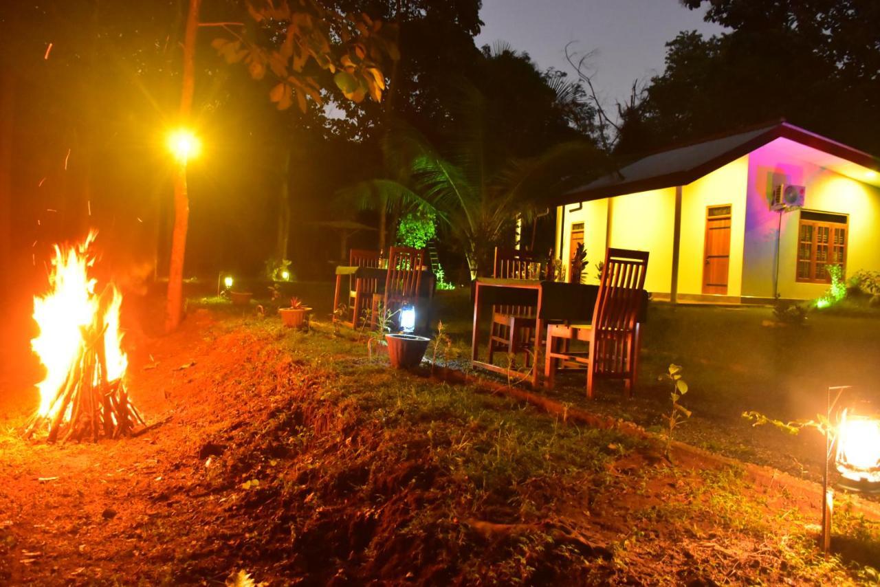 Little Ele Safari Lodge Удавалаве Экстерьер фото