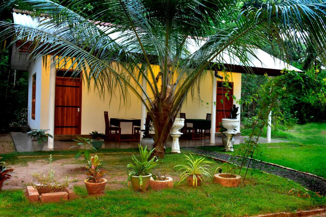 Little Ele Safari Lodge Удавалаве Экстерьер фото